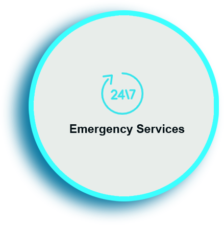 Emergency Services